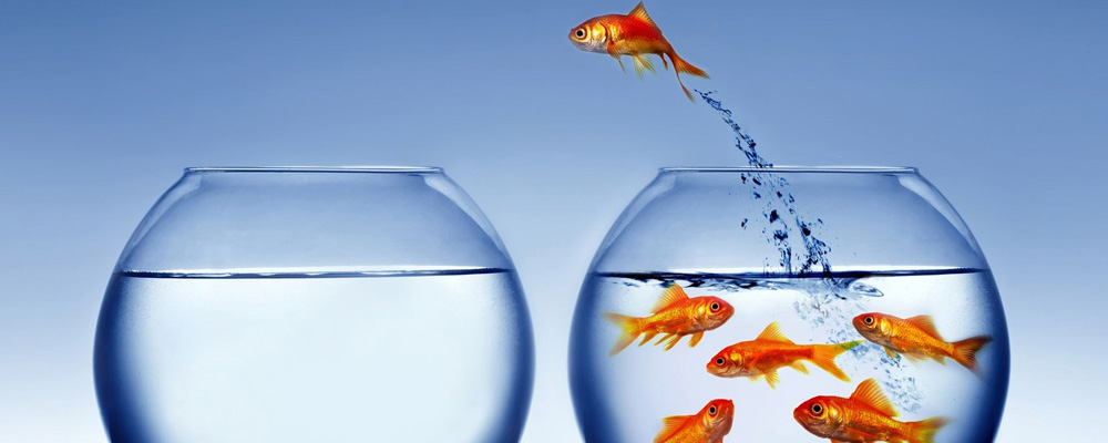 Be ahead of your industry by choosing an innovator in EMR/EHR.